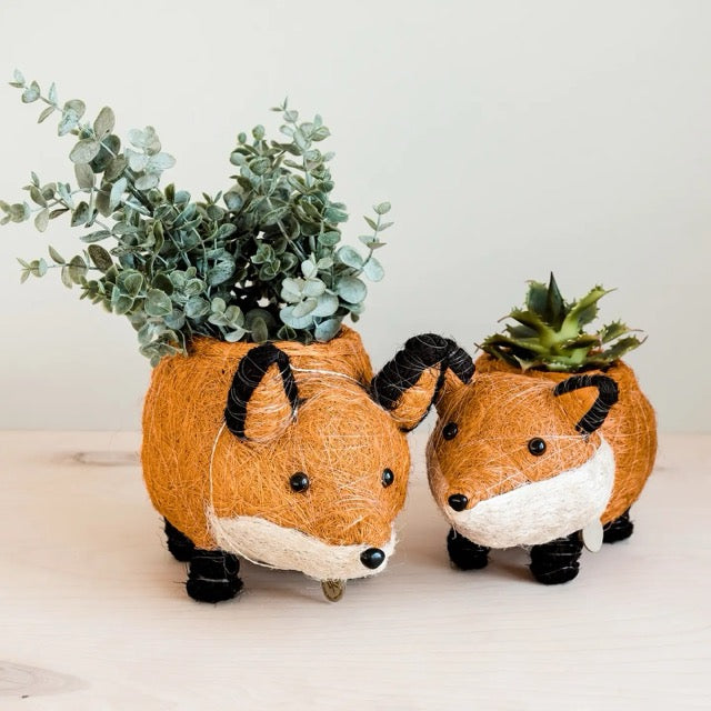 Planters + Vases