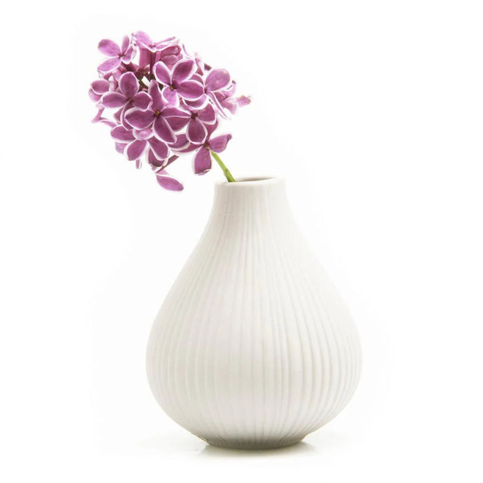 Frost Vase - Assorted Colors