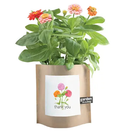 Garden in a Bag