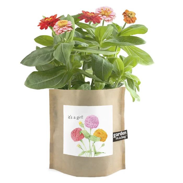 Garden in a Bag