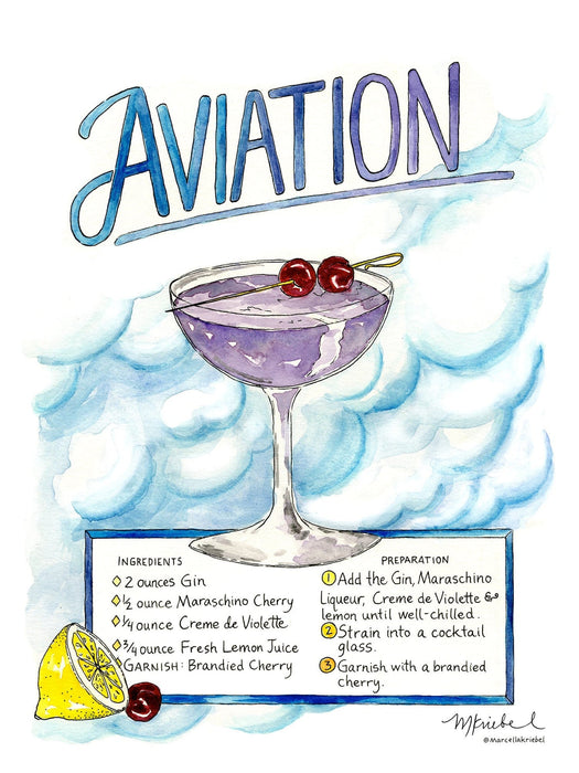 Aviation Print