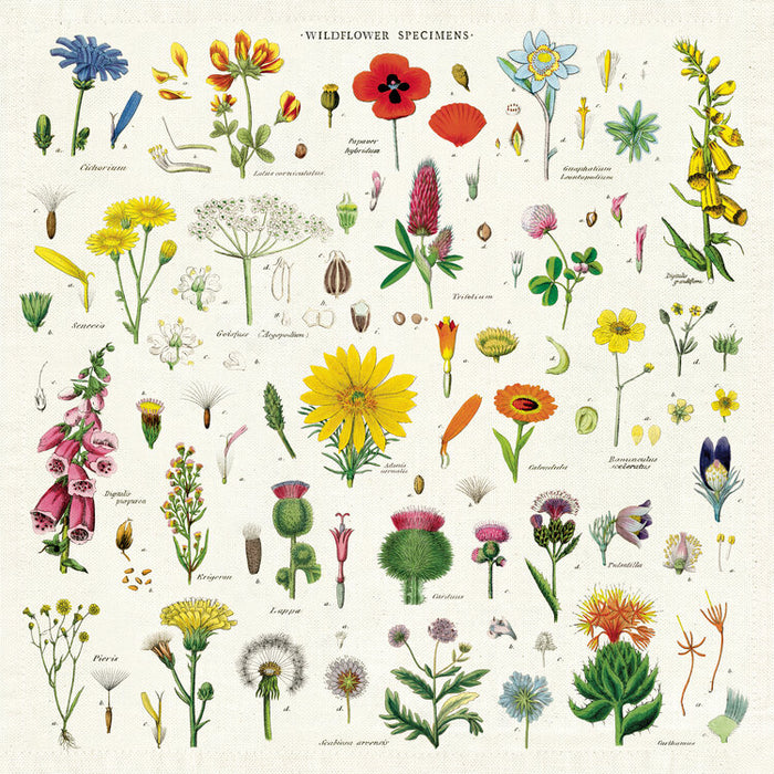Wildflower Napkins - Set of 4