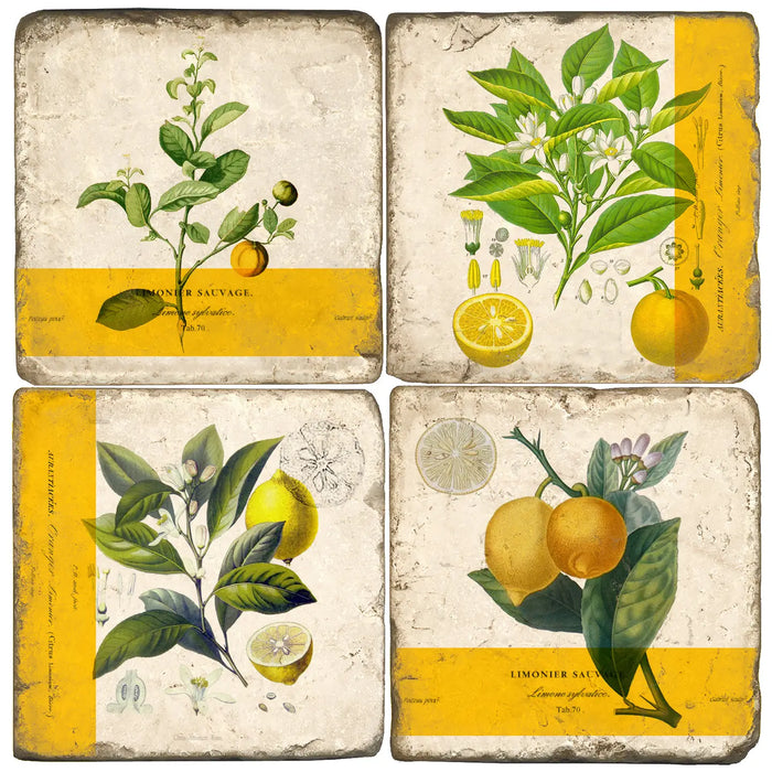 Studio Vertu Coasters - Assorted