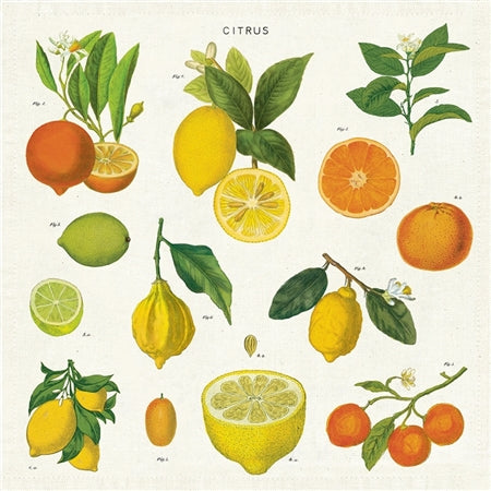 Citrus Napkins - Set of 4
