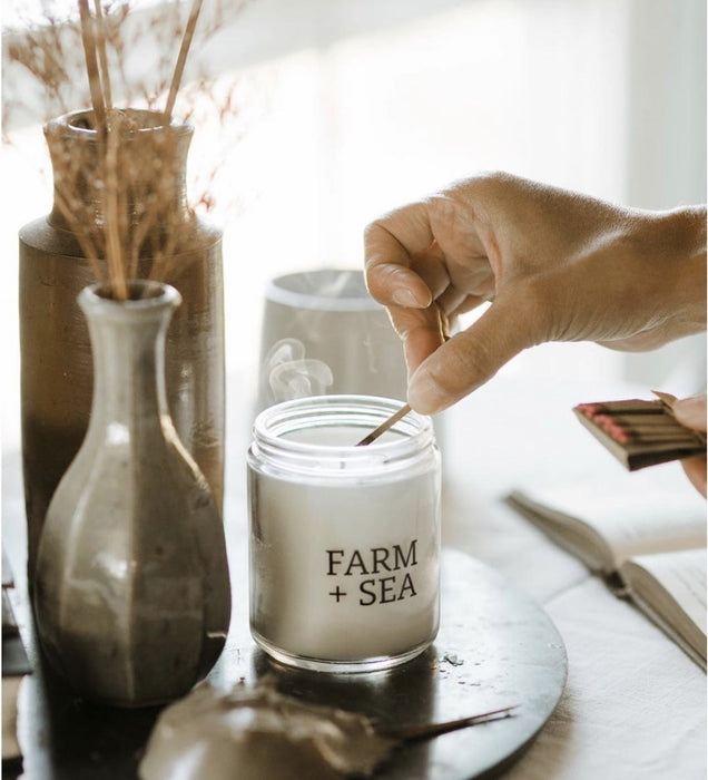 Birch Logs & Blue Spruce Candle